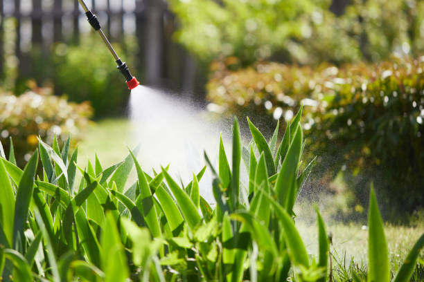 Tamper-Resistant Bait Stations for Rodents in Fountain Green