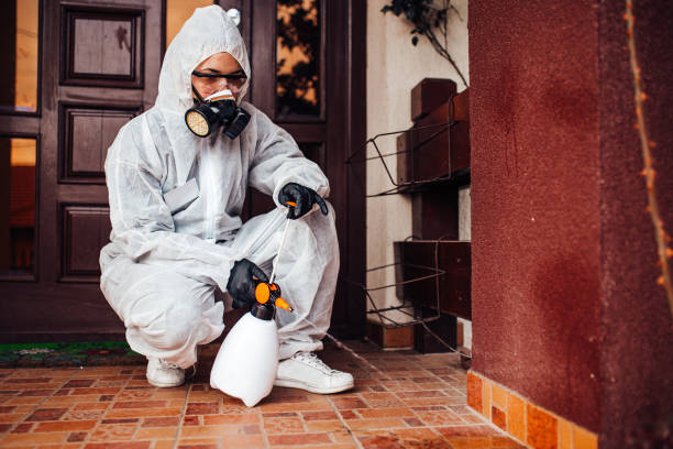 Attic and Crawl Space Rodent Treatment in Fountain Green